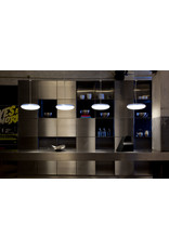 SILVERBACK SUSPENDED PENDANT LIGHT