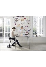 (BARGAIN CORNER) MOVE SMALL HEIGHT ADJUSTABLE STOOL