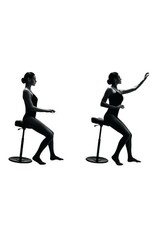 (BARGAIN CORNER) MOVE SMALL HEIGHT ADJUSTABLE STOOL
