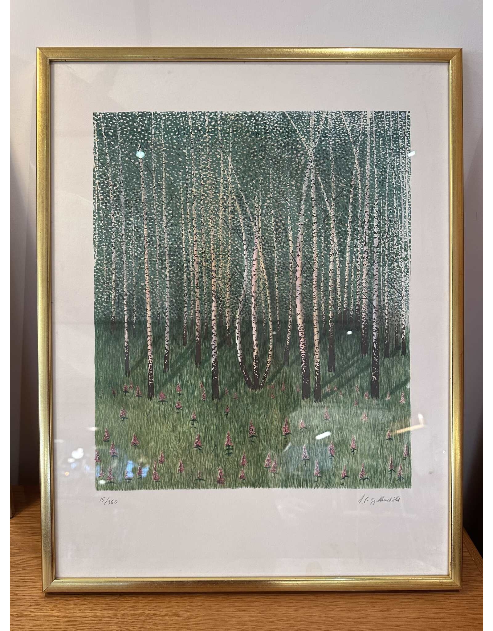 1970's SILVER BIRCH TREE FOREST LITHOGRAPH