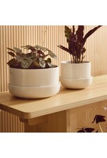 NAPPULA PLANT POT WITH SAUCER - BEIGE