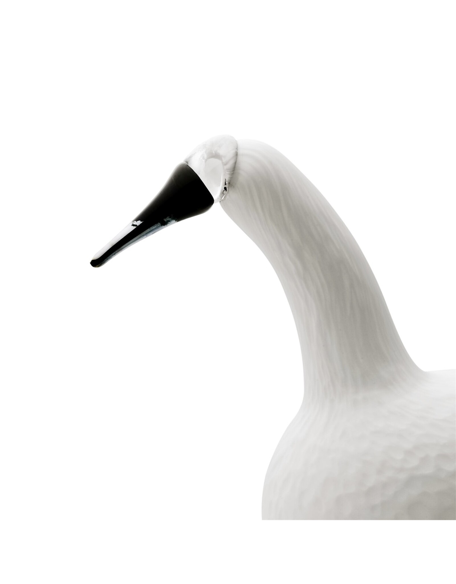 BIRDS BY TOIKKA, WHOOPER SWAN, WHITE