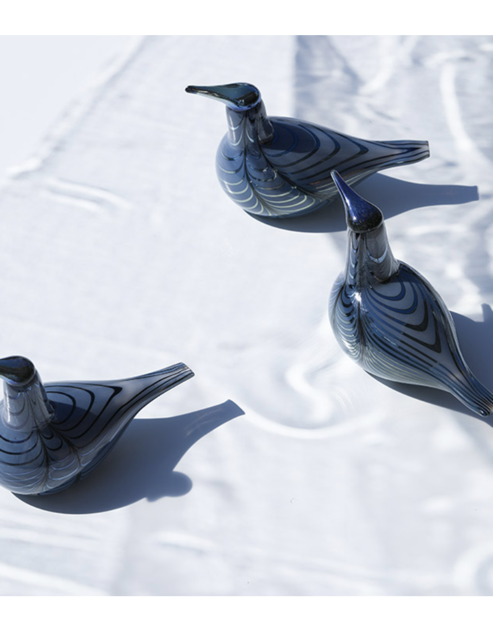 BIRDS BY TOIKKA 2019 VUONO ANNUAL BIRD