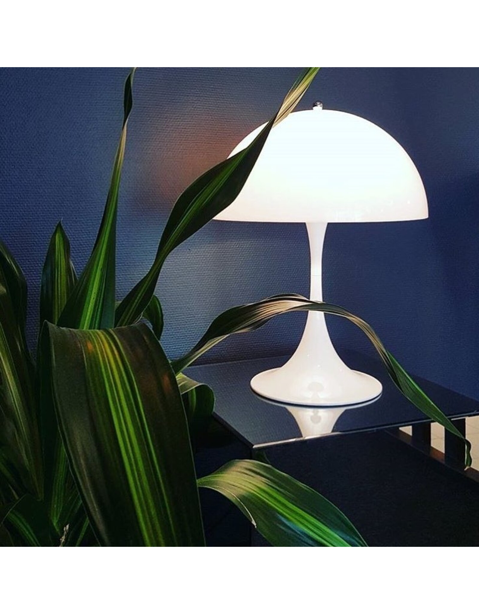 PANTHELLA LED 250 檯燈