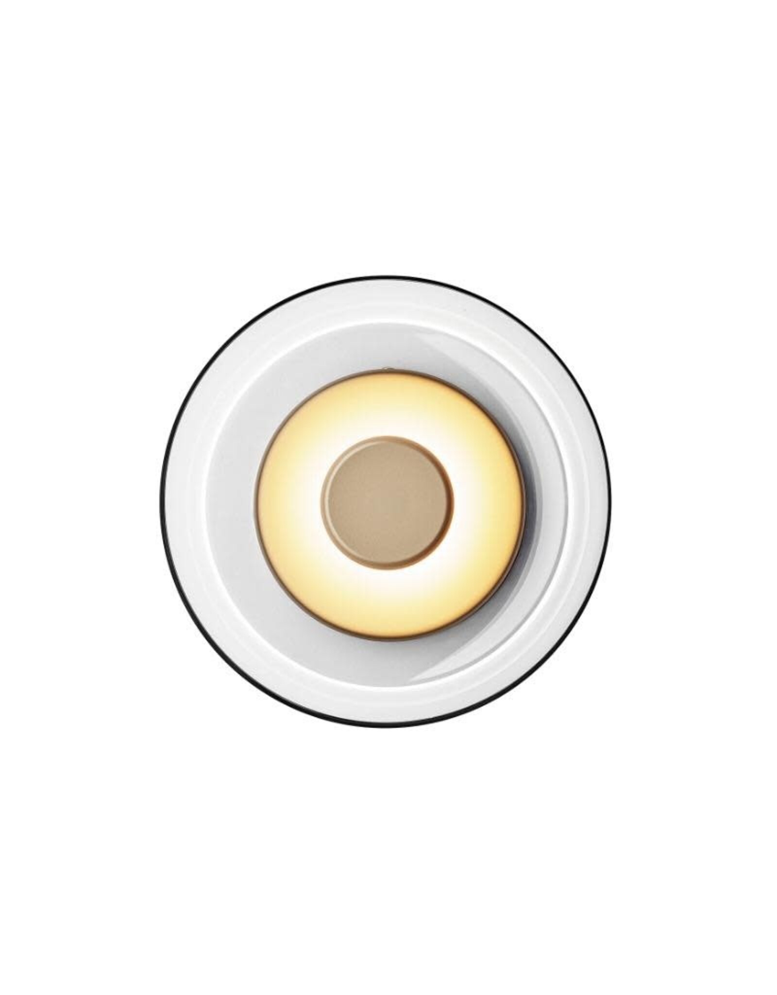 BLOSSI WALL/CEILING LAMP