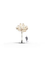 LEAF LAMP TREE