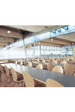 (BARGAIN CORNER) PINGO BIRCH CHAIR