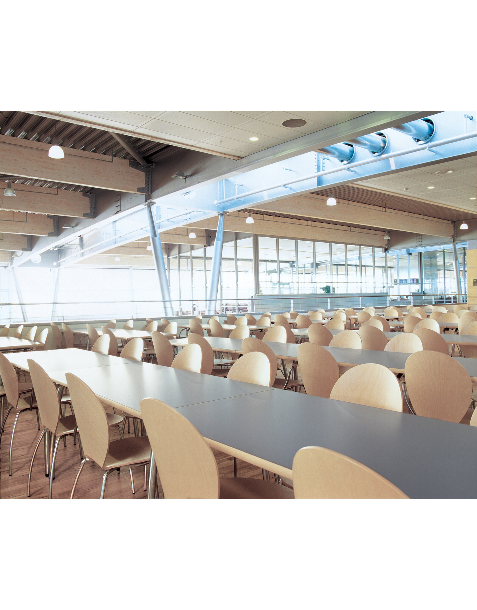 (BARGAIN CORNER) PINGO 樺木椅子