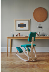 VARIABLE PLUS CHAIR VARIABLE PLUS CHAIR