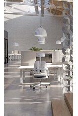 EMODEL 2.0 電動可調高度工作台