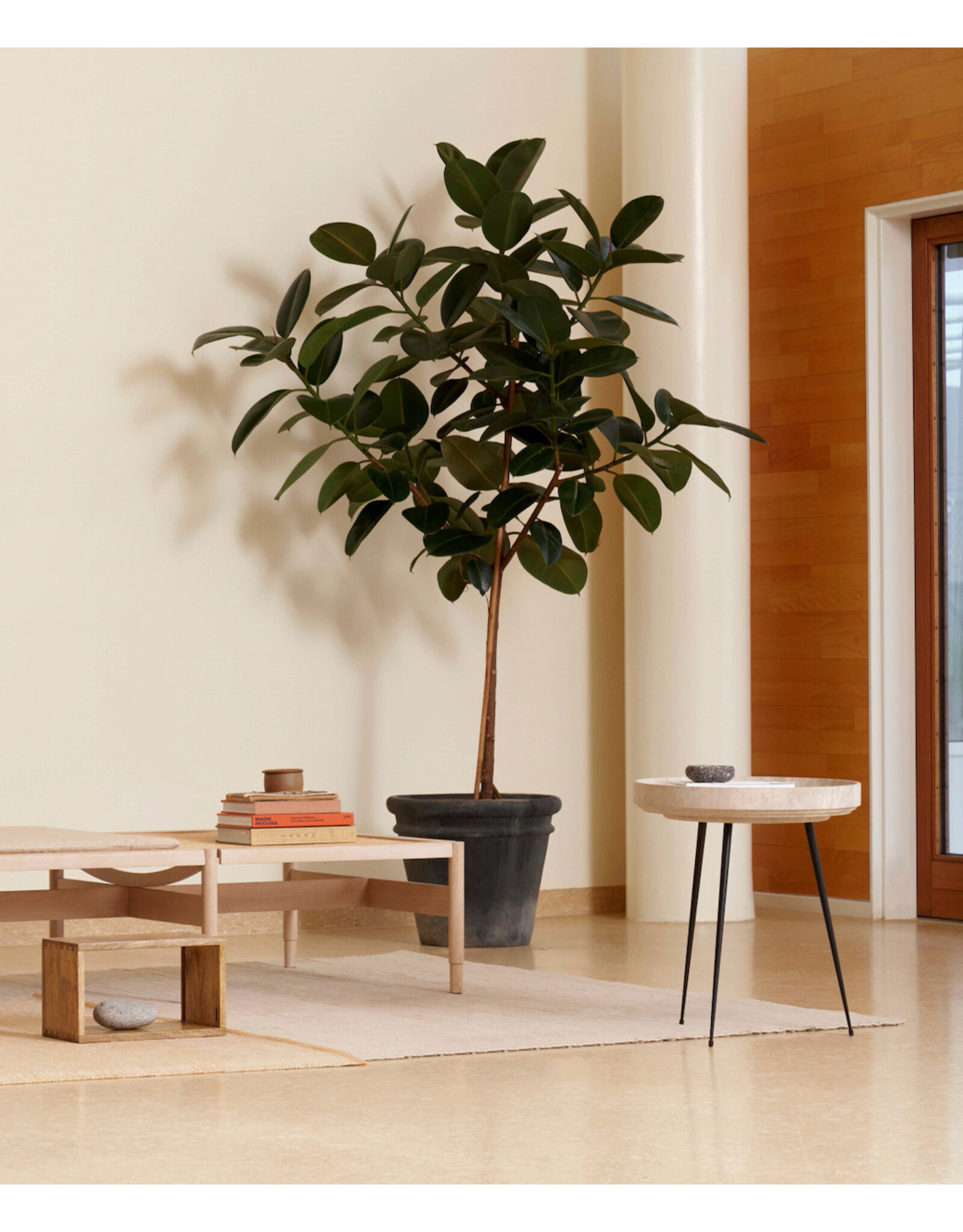 BOWL TABLE COFFEE WASTE LIGHT