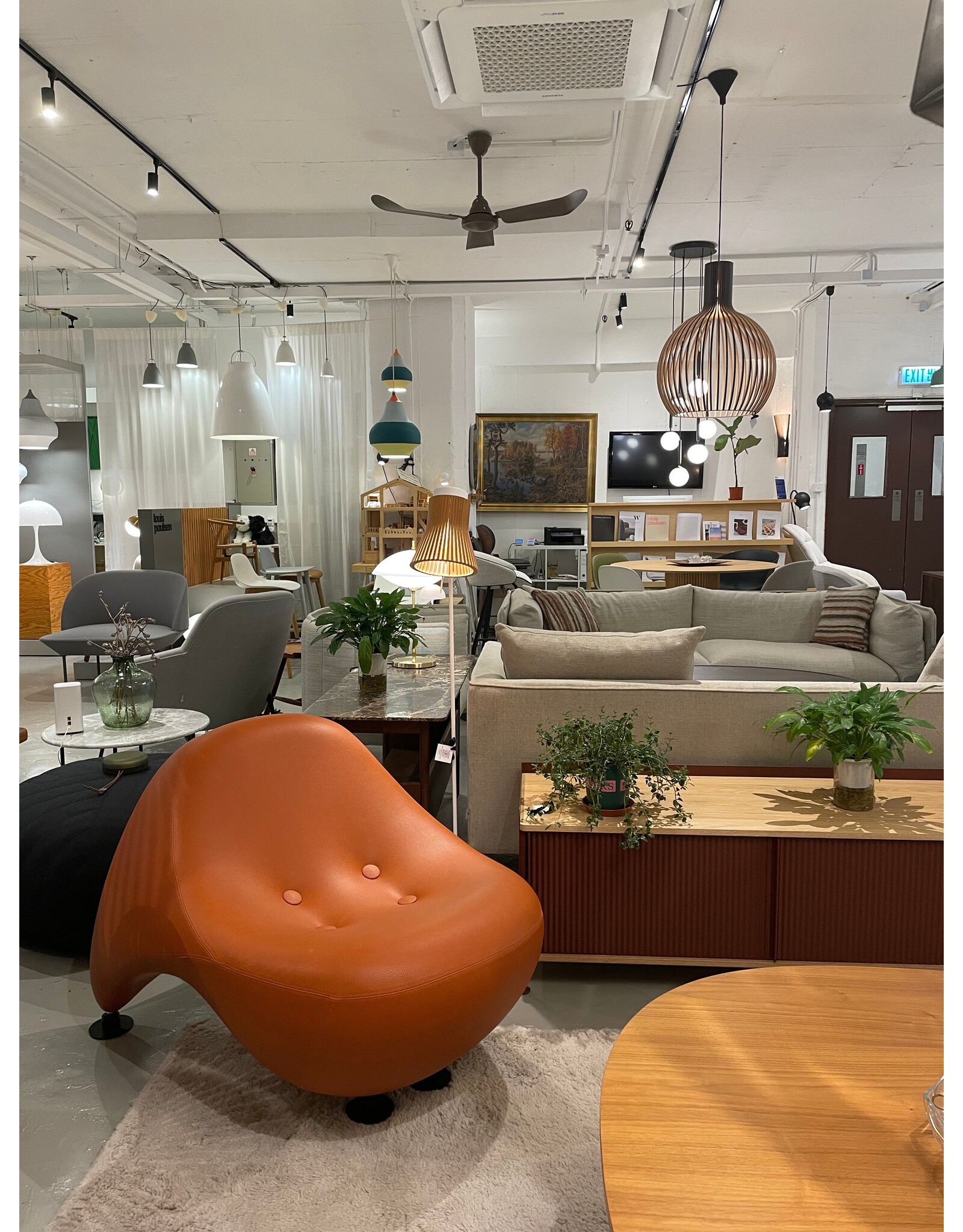 COLANI EASY CHAIR IN LEATHER