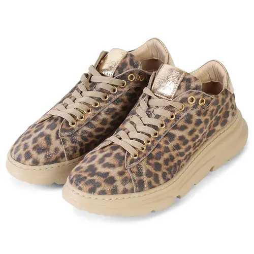 FENNA LEOPARD FENNA LEOPARD