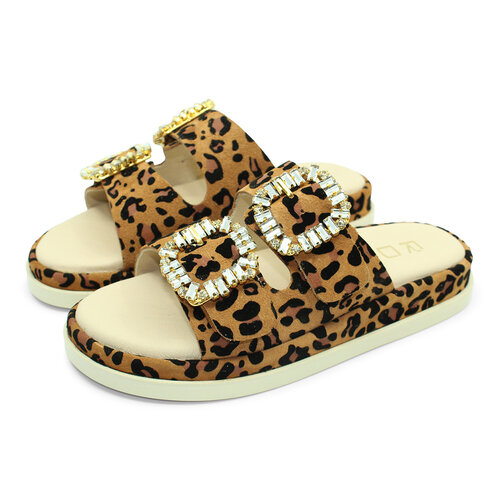 CANDY LEOPARD