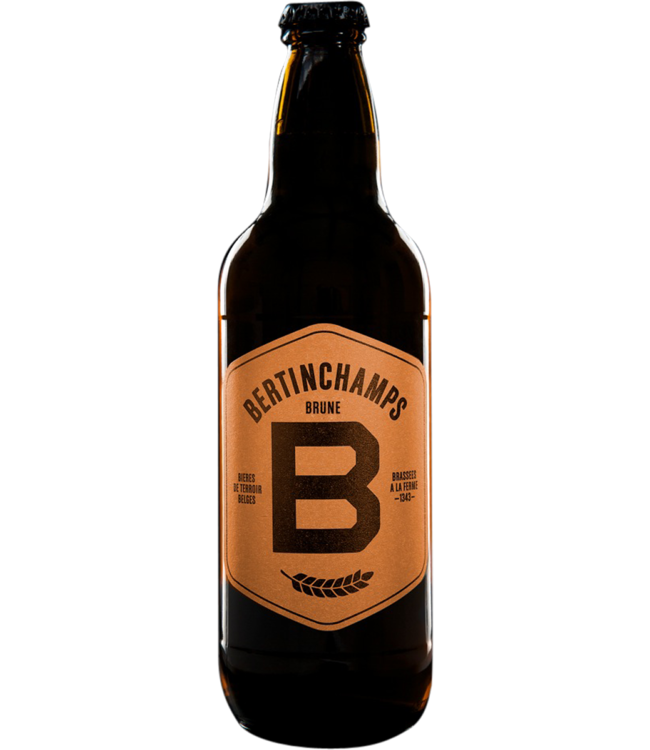 Bertinchamps BERTINCHAMPS BRUNE 7 % EP 20 X 50 CL ( CARTON ) B20S20