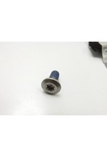 Bouten set remschijf (12 bouten)