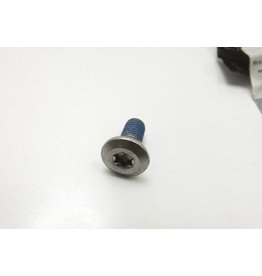 Bouten set remschijf (12 bouten)