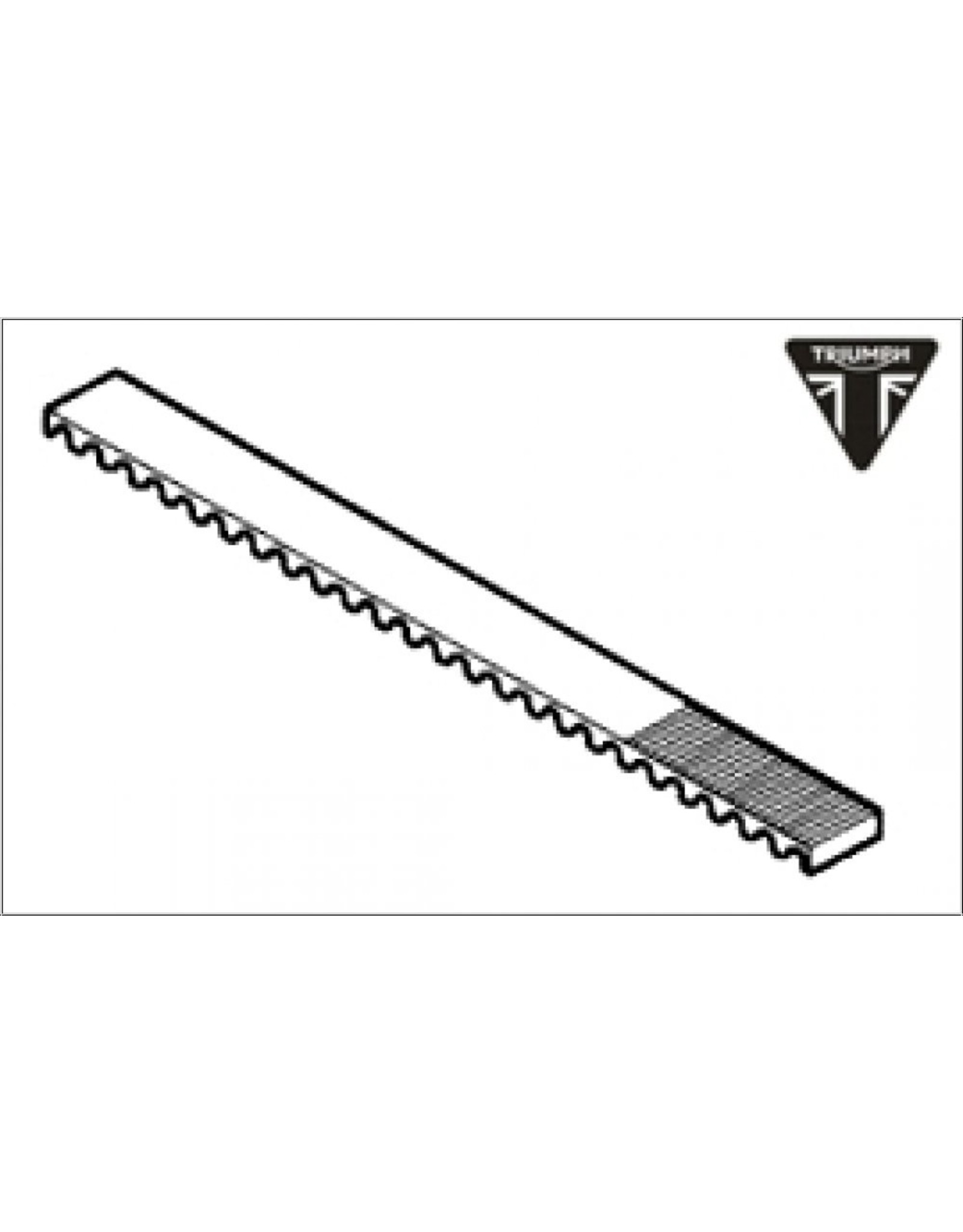 Belt Thunderbird LT