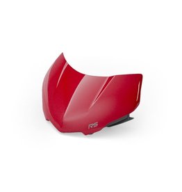 Flyscreen Canrival red street triple RS