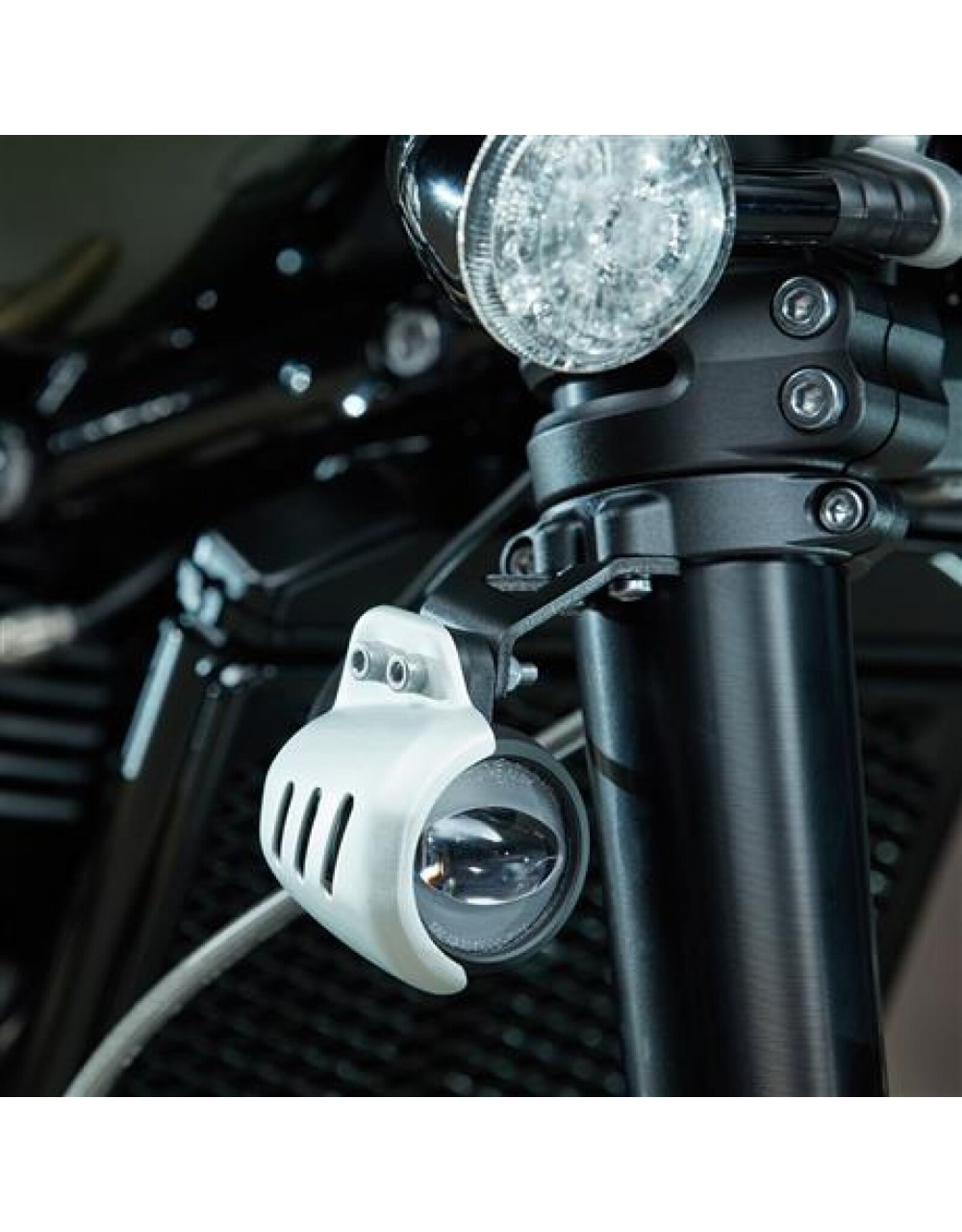 Triumph Ledmistlampen