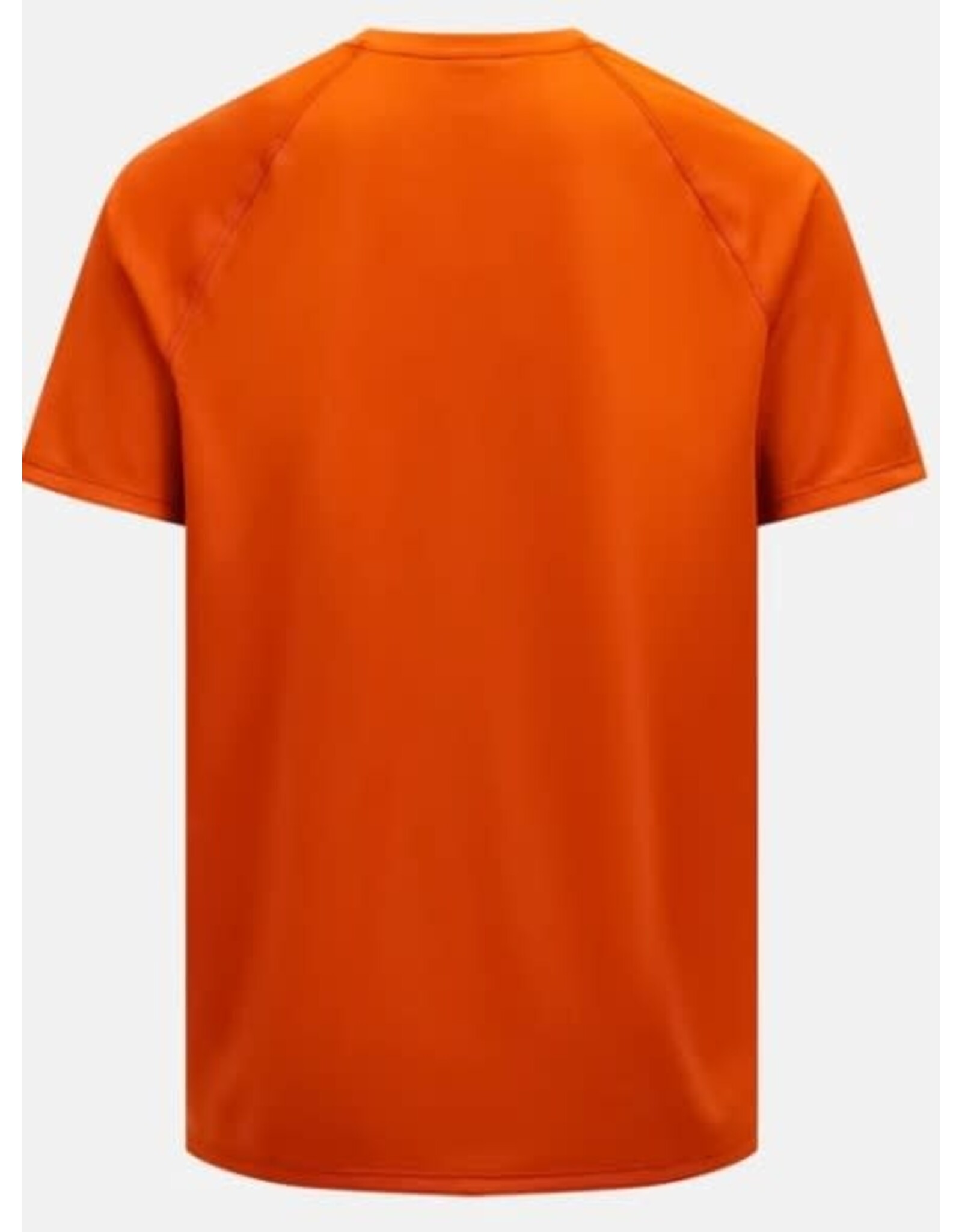 Peak Performance Active Tee Men GF