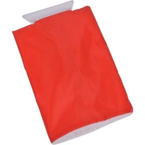 Gant grattoir à glace Carpoint