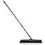 Japanese Broom