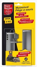 Mouse Trap - Catch & Kill