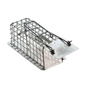 Mouse Catching Cage