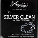 Hagerty Silver Clean Usage Professionnel 170 ml
