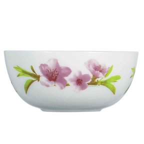 Saladier Aquarelle Luminarc 21cm