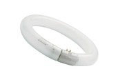 Sylvania Circline Plus T9 22W 840 G10Q | Blanc froid