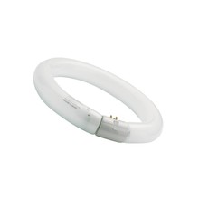 Sylvania Circline 22W 840