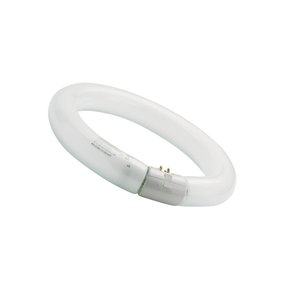 Sylvania Circline 22W 840