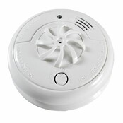 Hittemelder Fito 5 Jahre