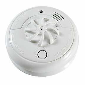 Hittemelder Fito 5 ans