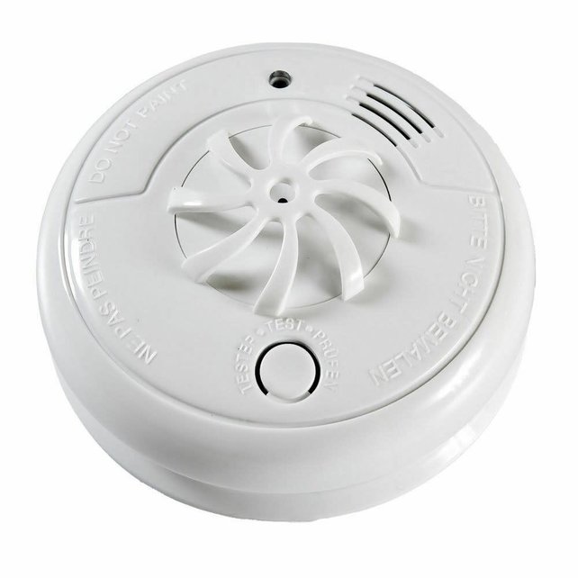 Hittemelder Fito 5 ans