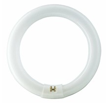 Circline 22W blanc froid Philips