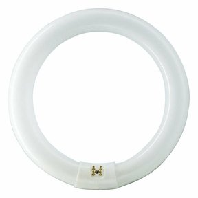 Circline 22W blanc froid Philips