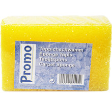 Tapijtspons