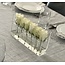 Rose Dream Rose Dream Decoratieve Rechthoekige Doorzichtige Bloembak met Deksel - 6 Rozen