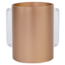 A&M A&M Acrylic Washing Cup Gold Clear Handles - 13 cm