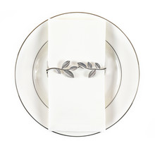 Brilliant Napkin Holder Silver P4