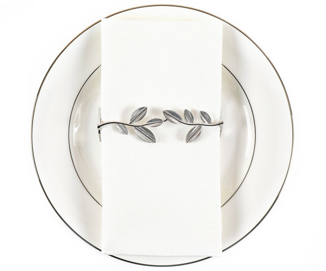 Porte-serviettes Brillant Argent P4