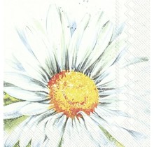 IHR Napkins THEA Mix