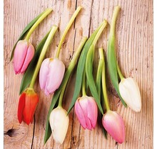 Ambiente Napkins Tulips On Wood