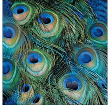 Serviettes Ambiente Plumes de Paon