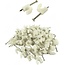 Aexit nail clips white 4mm 100 pieces