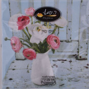 Napkins Kosher Pessach