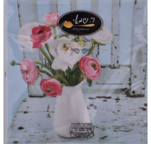 Napkins Kosher Pessach